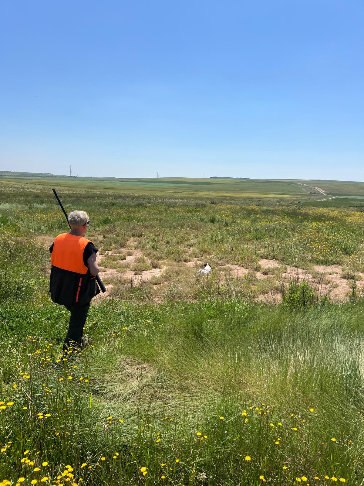 CODORNIZ CON PERRO, MENDAVIA 18-05-25